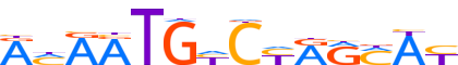 ZNF26.H13CORE.1.P.B motif logo (ZNF26 gene, ZNF26_HUMAN protein)