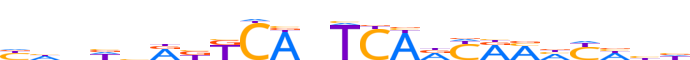 ZNF3.H13CORE.0.P.B reverse-complement motif logo (ZNF3 gene, ZNF3_HUMAN protein)