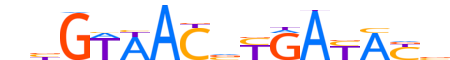 ZNF32.H13CORE.0.SM.B motif logo (ZNF32 gene, ZNF32_HUMAN protein)