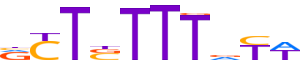 ZNF35.H13CORE.1.P.C reverse-complement motif logo (ZNF35 gene, ZNF35_HUMAN protein)