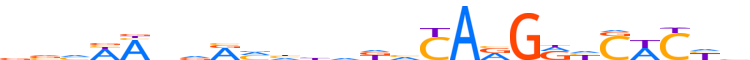 ZNF358.H13CORE.0.SG.A reverse-complement motif logo (ZNF358 gene, ZN358_HUMAN protein)