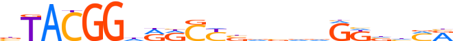 ZNF407.H13CORE.0.PSGI.A motif logo (ZNF407 gene, ZN407_HUMAN protein)