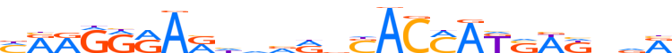 ZNF41.H13CORE.0.P.C motif logo (ZNF41 gene, ZNF41_HUMAN protein)