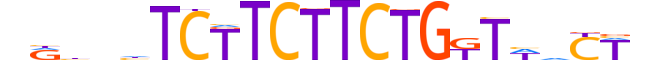 ZNF470.H13CORE.0.PSG.A motif logo (ZNF470 gene, ZN470_HUMAN protein)