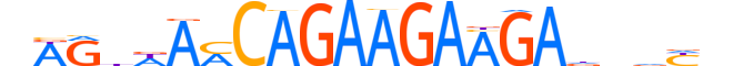 ZNF470.H13CORE.0.PSG.A reverse-complement motif logo (ZNF470 gene, ZN470_HUMAN protein)