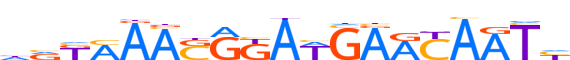 ZNF497.H13CORE.0.SG.A reverse-complement motif logo (ZNF497 gene, ZN497_HUMAN protein)