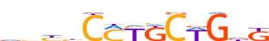 ZNF503.H13CORE.0.P.B reverse-complement motif logo (ZNF503 gene, ZN503_HUMAN protein)