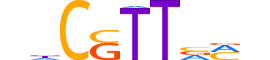 ZNF507.H13CORE.0.I.B motif logo (ZNF507 gene, ZN507_HUMAN protein)