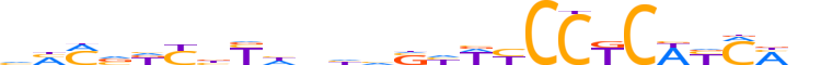 ZNF510.H13CORE.0.PSG.A reverse-complement motif logo (ZNF510 gene, ZN510_HUMAN protein)