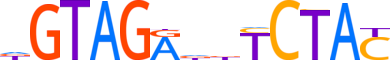 ZNF518B.H13CORE.0.PSG.A motif logo (ZNF518B gene, Z518B_HUMAN protein)