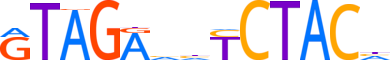 ZNF518B.H13CORE.0.PSG.A reverse-complement motif logo (ZNF518B gene, Z518B_HUMAN protein)