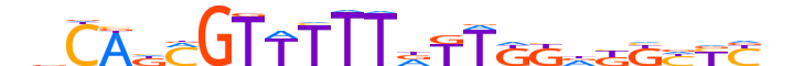 ZNF551.H13CORE.0.PSG.A reverse-complement motif logo (ZNF551 gene, ZN551_HUMAN protein)