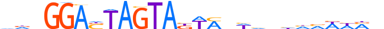 ZNF569.H13CORE.0.SG.A motif logo (ZNF569 gene, ZN569_HUMAN protein)