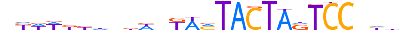 ZNF569.H13CORE.0.SG.A reverse-complement motif logo (ZNF569 gene, ZN569_HUMAN protein)