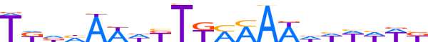 ZNF618.H13CORE.0.G.B reverse-complement motif logo (ZNF618 gene, ZN618_HUMAN protein)