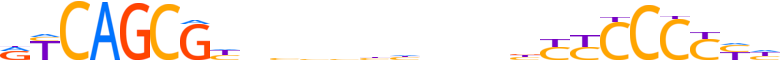 ZNF648.H13CORE.0.PSGI.A motif logo (ZNF648 gene, ZN648_HUMAN protein)