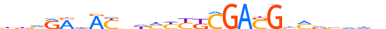 ZNF665.H13CORE.0.PSG.A motif logo (ZNF665 gene, ZN665_HUMAN protein)