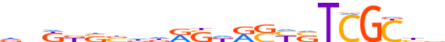 ZNF676.H13CORE.0.PSG.A reverse-complement motif logo (ZNF676 gene, ZN676_HUMAN protein)