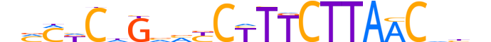 ZNF696.H13CORE.0.PSG.A reverse-complement motif logo (ZNF696 gene, ZN696_HUMAN protein)