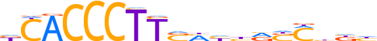 ZNF699.H13CORE.0.PSG.A reverse-complement motif logo (ZNF699 gene, ZN699_HUMAN protein)