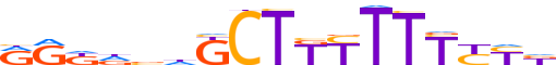 ZNF721.H13CORE.0.PSG.A reverse-complement motif logo (ZNF721 gene, ZN721_HUMAN protein)