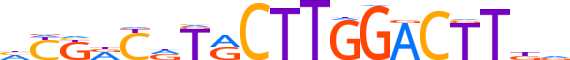 ZNF724.H13CORE.0.PSG.A motif logo (ZNF724 gene, ZN724_HUMAN protein)