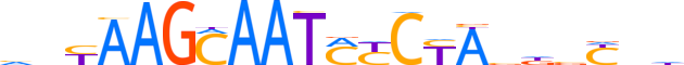 ZNF726.H13CORE.0.PSGI.A reverse-complement motif logo (ZNF726 gene, ZN726_HUMAN protein)