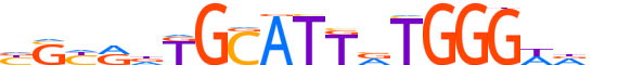 ZNF76.H13CORE.1.SM.B motif logo (ZNF76 gene, ZNF76_HUMAN protein)