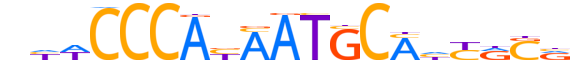 ZNF76.H13CORE.1.SM.B reverse-complement motif logo (ZNF76 gene, ZNF76_HUMAN protein)