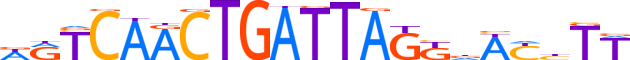 ZNF772.H13CORE.0.PG.A motif logo (ZNF772 gene, ZN772_HUMAN protein)