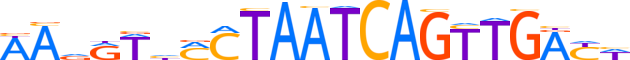 ZNF772.H13CORE.0.PG.A reverse-complement motif logo (ZNF772 gene, ZN772_HUMAN protein)