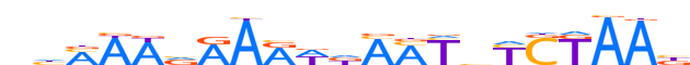 ZNF79.H13CORE.0.P.C motif logo (ZNF79 gene, ZNF79_HUMAN protein)