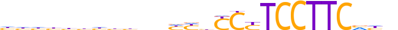 ZNF813.H13CORE.0.SG.A reverse-complement motif logo (ZNF813 gene, ZN813_HUMAN protein)