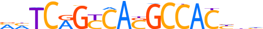 ZNF836.H13CORE.0.PSG.A motif logo (ZNF836 gene, ZN836_HUMAN protein)