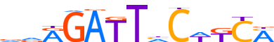 ZNF85.H13CORE.0.P.B reverse-complement motif logo (ZNF85 gene, ZNF85_HUMAN protein)