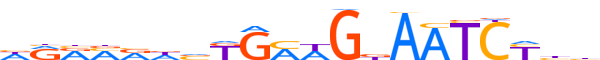 ZNF85.H13CORE.1.P.B motif logo (ZNF85 gene, ZNF85_HUMAN protein)