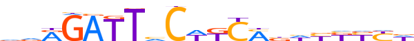 ZNF85.H13CORE.1.P.B reverse-complement motif logo (ZNF85 gene, ZNF85_HUMAN protein)