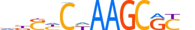 ZNF853.H13CORE.0.SG.A reverse-complement motif logo (ZNF853 gene, ZN853_HUMAN protein)