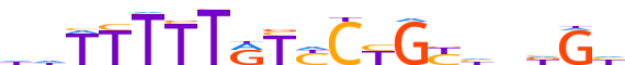 ZNF878.H13CORE.0.PS.A reverse-complement motif logo (ZNF878 gene, ZN878_HUMAN protein)