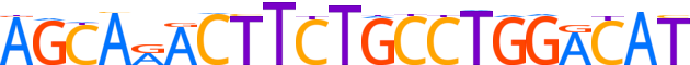 ZNF92.H13CORE.0.P.B reverse-complement motif logo (ZNF92 gene, ZNF92_HUMAN protein)