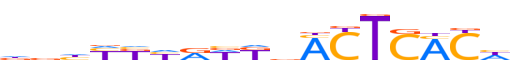 ZSA5C.H13CORE.0.P.C reverse-complement motif logo (ZSCAN5C gene, ZSA5C_HUMAN protein)