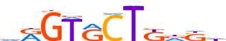 ZSC21.H13CORE.0.P.C reverse-complement motif logo (ZSCAN21 gene, ZSC21_HUMAN protein)