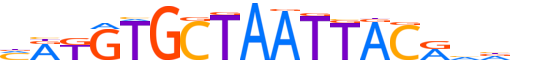 ZSC23.H13CORE.0.M.C motif logo (ZSCAN23 gene, ZSC23_HUMAN protein)