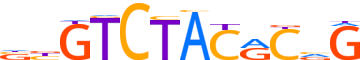 ZSC29.H13CORE.0.P.B motif logo (ZSCAN29 gene, ZSC29_HUMAN protein)