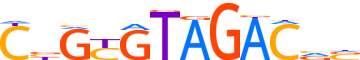 ZSC29.H13CORE.0.P.B reverse-complement motif logo (ZSCAN29 gene, ZSC29_HUMAN protein)