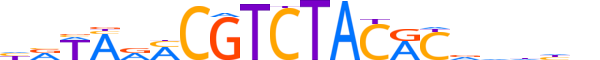 ZSC29.H13CORE.1.M.C motif logo (ZSCAN29 gene, ZSC29_HUMAN protein)