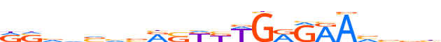 ZSCAN12.H13CORE.0.P.B reverse-complement motif logo (ZSCAN12 gene, ZSC12_HUMAN protein)