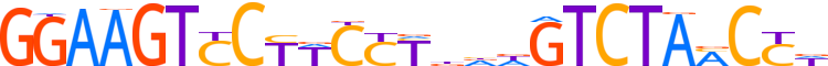 ZSCAN2.H13CORE.0.PG.A reverse-complement motif logo (ZSCAN2 gene, ZSCA2_HUMAN protein)