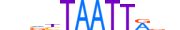 ALX3.H13CORE.0.SM.B motif logo (ALX3 gene, ALX3_HUMAN protein)