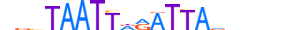 ALX4.H13CORE.0.S.B motif logo (ALX4 gene, ALX4_HUMAN protein)